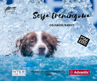 29 - 31 marca I Otwarte Mistrzostwa Polski Dog Diving 2019